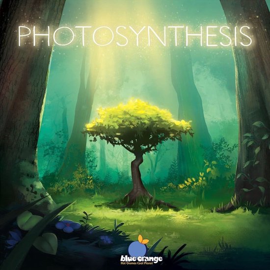 Illustratie van Photosynthesis: een glooiende bosbodem met een solitaire, zonovergoten boom, omringd door bomen en planten.