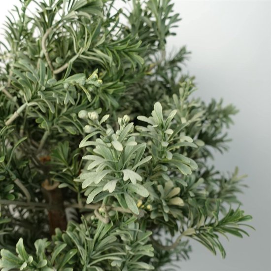 Arbre/ plant artificiel, 70 cm