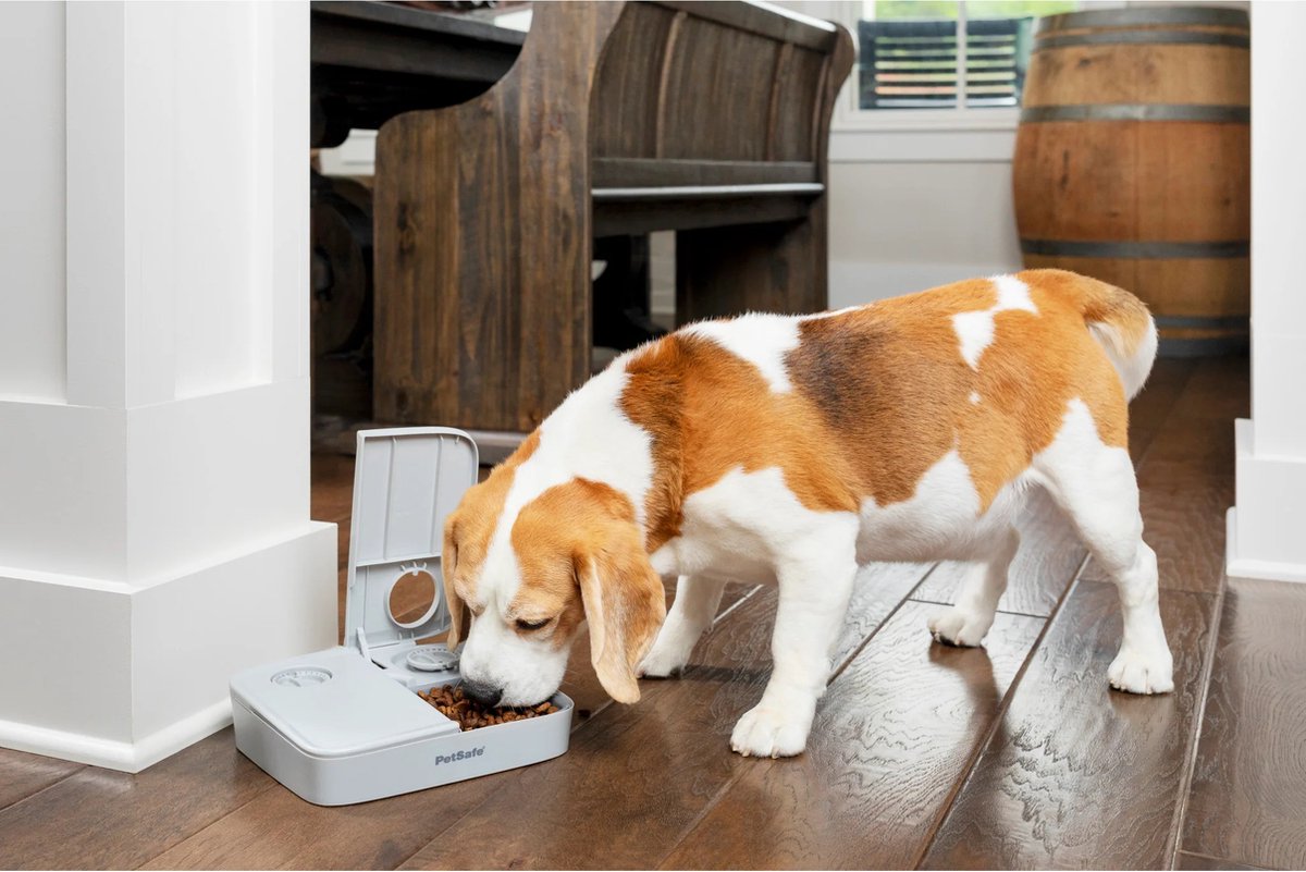 PetSafe Automatische Voerbak Kat en Hond - 2 x 150 gr thumbnail 6