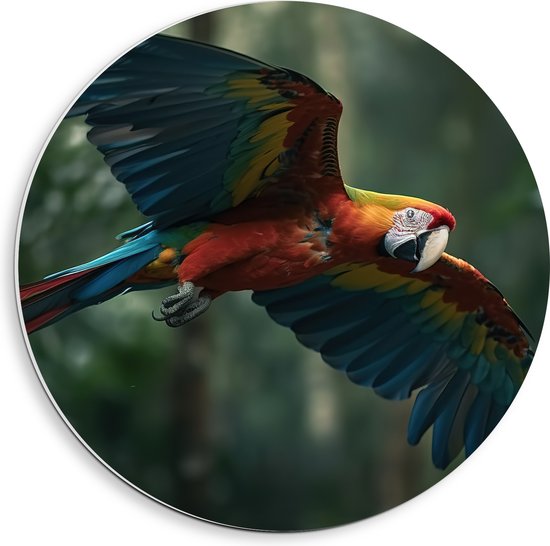 PVC Schuimplaat Muurcirkel - Vliegende ara papegaai in tropisch regenwoud - 40x40 cm Foto op Muurcirkel (met ophangsysteem)