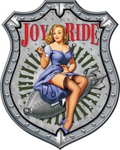 Wandbord Schild - Joy Ride - exclusief man cave garage