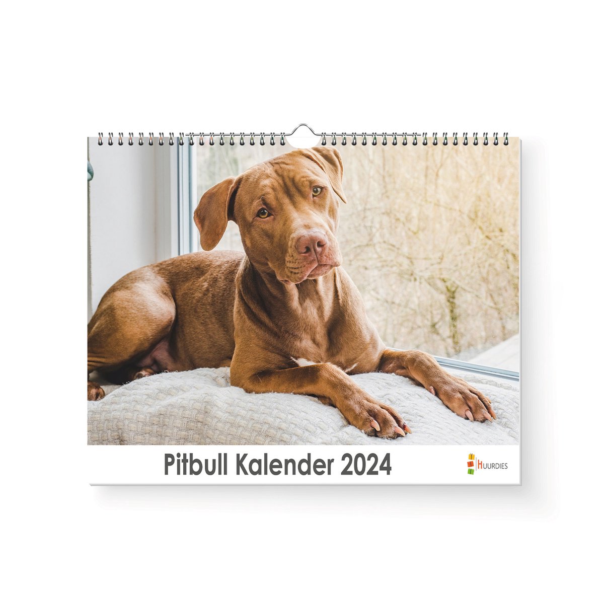 Huurdies - Pitbull Kalender - Jaarkalender 2024 - 35x24 - 300gms