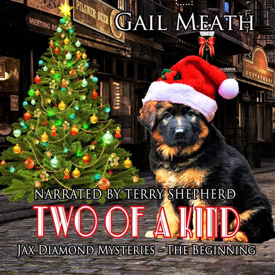 Two of a Kind - The Beginning - cover