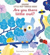 Are You There Little Owl Little PeepThrough Books 1