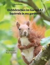 Eichhörnchen im Garten 4 - Eichhörnchen im Garten 4 / Squirrels in my garden 4