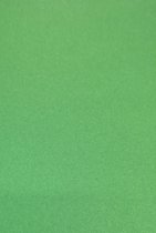 5 vel Hobbykarton / knutselkarton / fotokarton - 270 grams - 500x700 mm - 50x70 cm kleur: Groen
