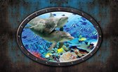 Fotobehang - Vlies Behang - Dolfijnen vanuit de Onderzeeër 3D Raamzicht - 312 x 219 cm