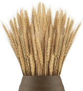 100 Pieces 40cm Dried Wheat Flowers Sheaves Dry Wheat Grass Bouquet Dried Wheat Grass Bundle Artificial Wheat Dried Flowers for Fireplace Home Kitchen Church Table Wedding Christmas Wreath Decoration 1