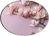 Dibond Ovaal - Roze Magnolia Bloemen bij Roze Achtergrond - 28x21 cm Foto op Ovaal (Met Ophangsysteem)