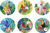 Diamond painting Onderzetters - Verschillende vogelsoorten - Geheel te beplakken - Compleet Hobbypakket - Ronde steentjes