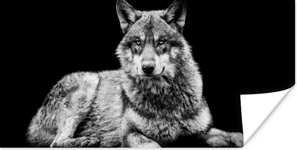 Poster Wilde dieren - Wolf - Zwart - Wit - 150x75 cm