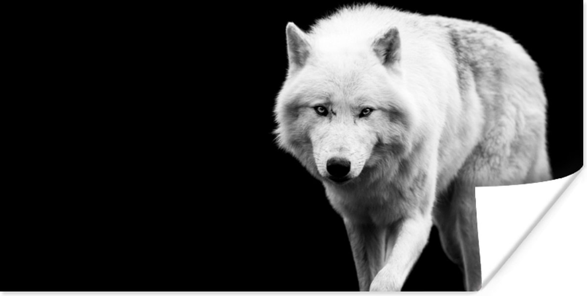 Poster Wolf - Dier - Zwart - Wit - 160x80 cm