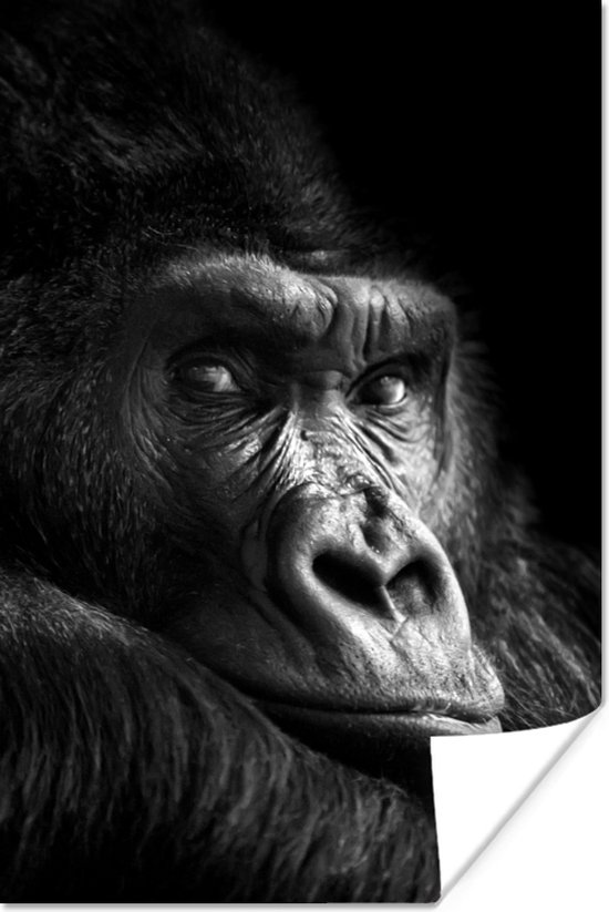 Poster Gorilla - Aap - Zwart - Wit - Portret - 20x30 cm