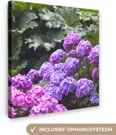 Canvas Schilderij Roze en paarse hortensia's - 20x20 cm - Wanddecoratie