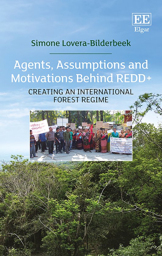 Agents, Assumptions and Motivations Behind REDD+