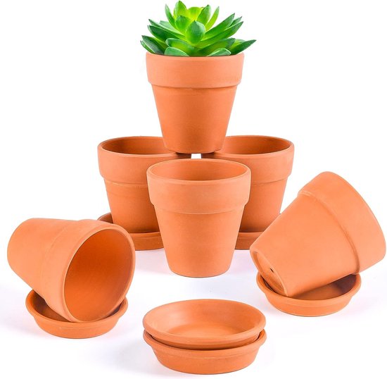 Lot de 6 Mini pots en terre cuite pour plantes grasses avec