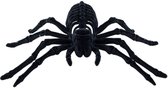 Chaks spin skelet 22 cm - zwart - velvet/fluweel tarantula - Horror/griezel thema decoratie beestjes