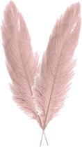 Chaks Pieten struisvogelveer/sierveer - 2x - oud roze - 55-60 cm - decoratie/hobbymateriaal