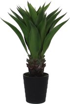 Jouw Sansevieria var. kunstplant kopen