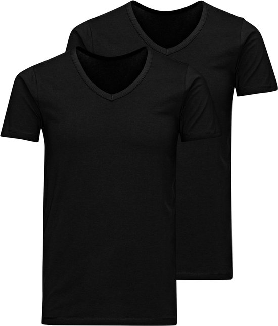 JACK&JONES ADDITIONALS JACBASIC V-NECK TEE SS 2 PACK NOOS Heren T-shirt - Maat XL