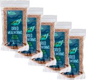 5x Gedroogde meelwormen - Extra eiwitten - 5x 150gr - Tuinvogels - Vogelvoer - Voor ieder seizoen - Hersluitbare zak - Voordeelverpakking