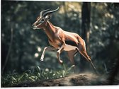 Dibond - Antilope Springend door het Bos - 80x60 cm Foto op Aluminium (Met Ophangsysteem)