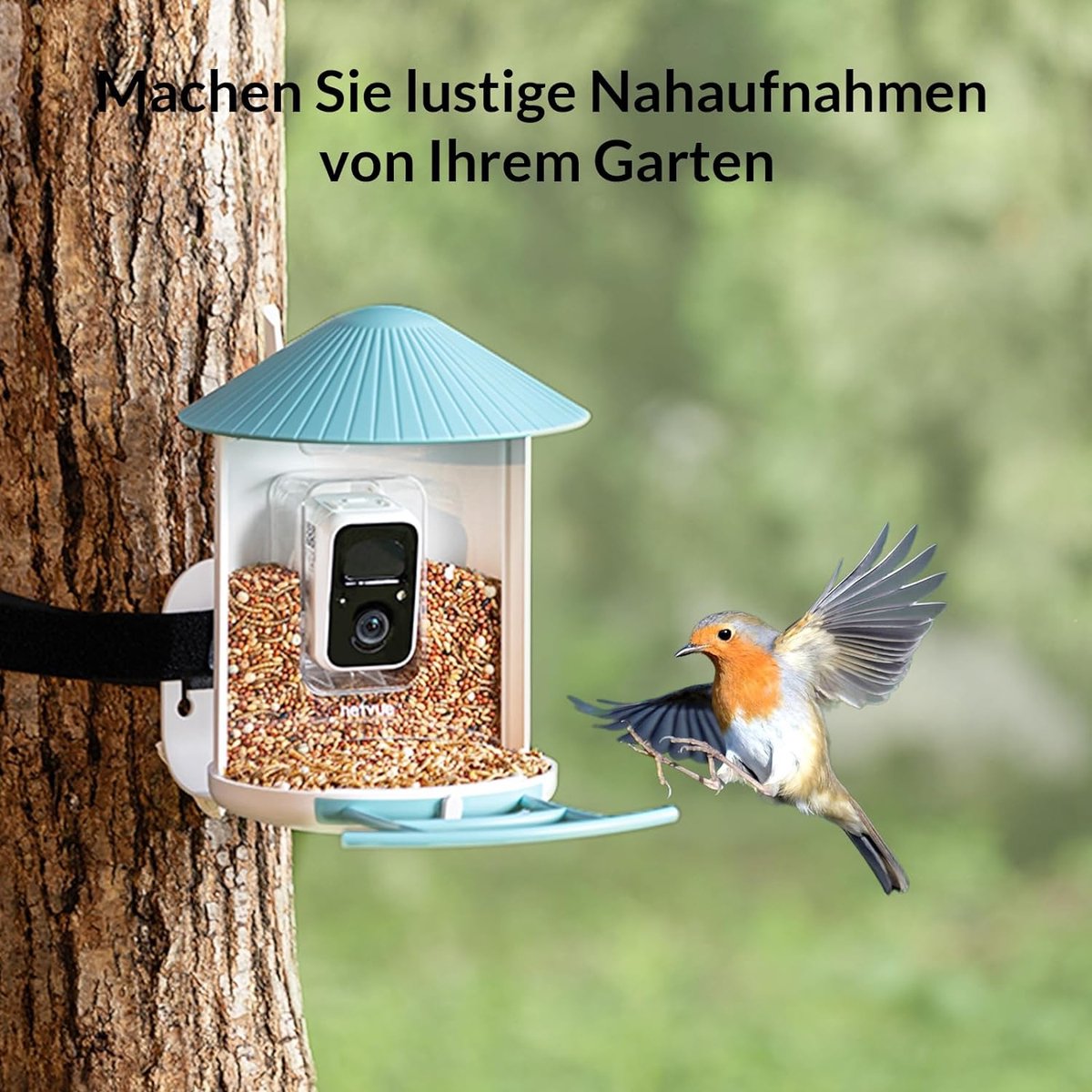 NETVUE Caméra de Mangeoire Oiseaux à Batterie, AI Reconnaissance