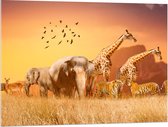Acrylglas - De Dieren van het Afrikaanse Landschap - 100x75 cm Foto op Acrylglas (Wanddecoratie op Acrylaat)