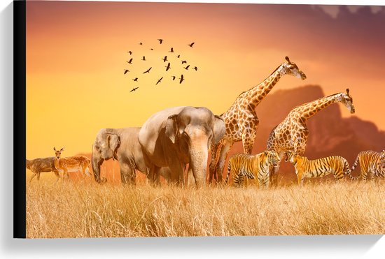 Canvas - De Dieren van het Afrikaanse Landschap - 60x40 cm Foto op Canvas Schilderij (Wanddecoratie op Canvas)