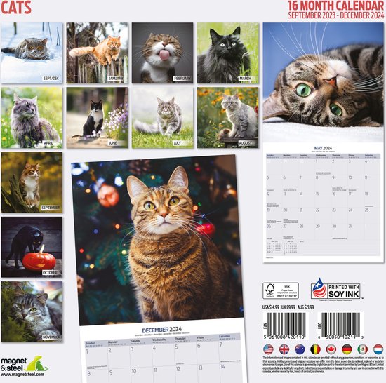 RIOLIS Telpakket Kruissteek kit 2136 Katten Kalender