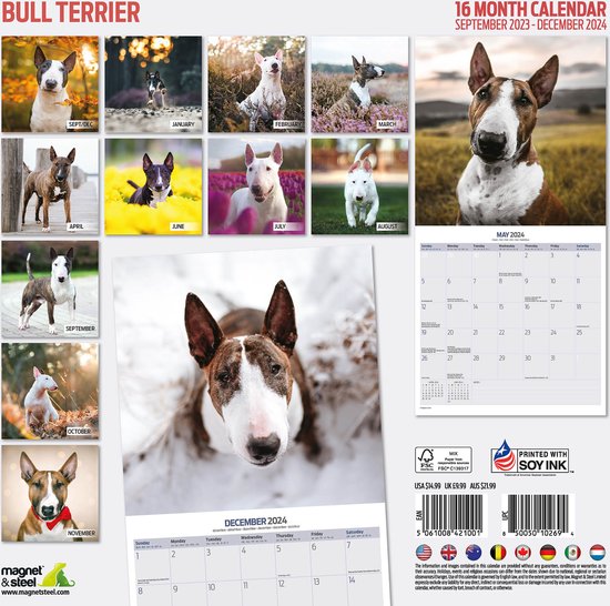 Bull Terrier Kalender 2024