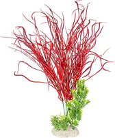 Aqua Della - Aquariumplanten (voeding) - Vissen - Plant Lily Grass Xl - Height 50cm Gemengde Kleuren - 1st