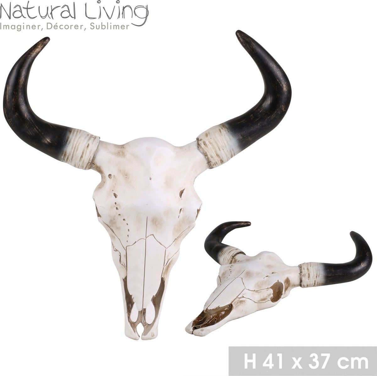 Stier hoorn kunst aan de muur - Nederland