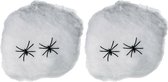 Fiestas Decoratie spinnenweb/spinrag met spinnen - 2x - 40 gram - wit - Halloween/horror thema versiering