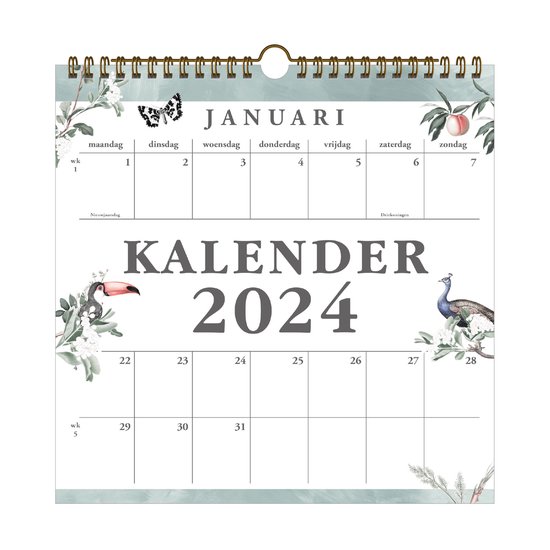 Pauw Kalender 2024