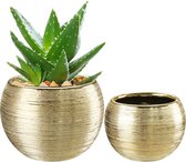 Gedecoreerde plantenpot set van 2, bloempotten voor de binnenkant van kamerplanten, orchideeënpot voor kamer- en balkonplanten, kamerplanten, cactus maten, diameter 9,5 cm/7,5 cm