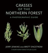 The Northern Forest Atlas Guides- Grasses of the Northern Forest