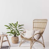 Calathea 75cm Plante artificielle verte