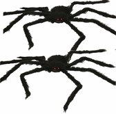 Horror spin groot inclusief XL spinnenweb - Halloween decoratie/versiering - zwart - 70 cm