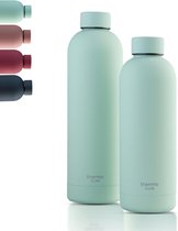 Roestvrijstalen drinkfles, BPA-vrij, lekvrij, geïsoleerde fles, dubbelwandig, ideaal voor school, outdoor, kantoor en reizen (mintgroen, 750 ml)