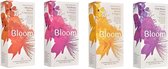 Coffret tisane Solaris Bloom 4 parfums x 15 sachets BIO