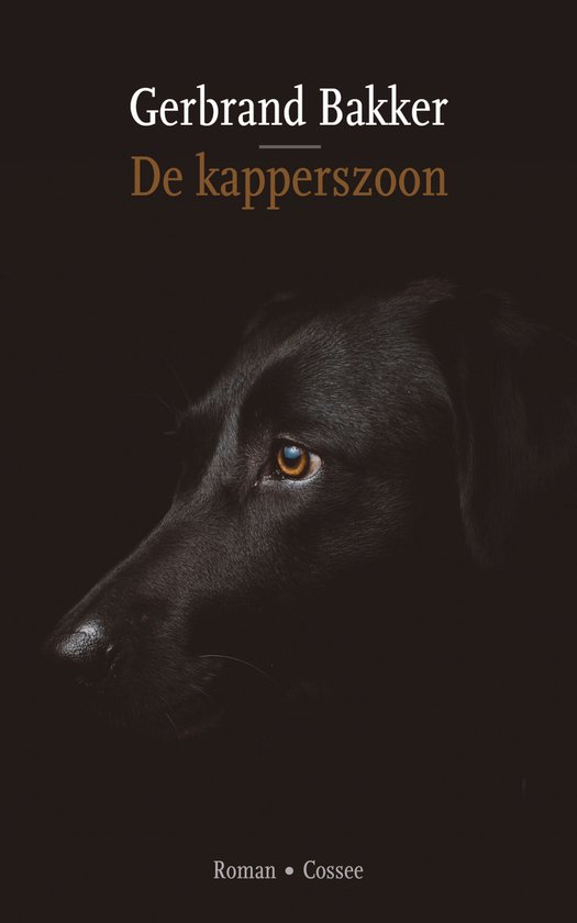 De kapperszoon - cover