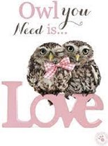 Wenskaart owl you need is love