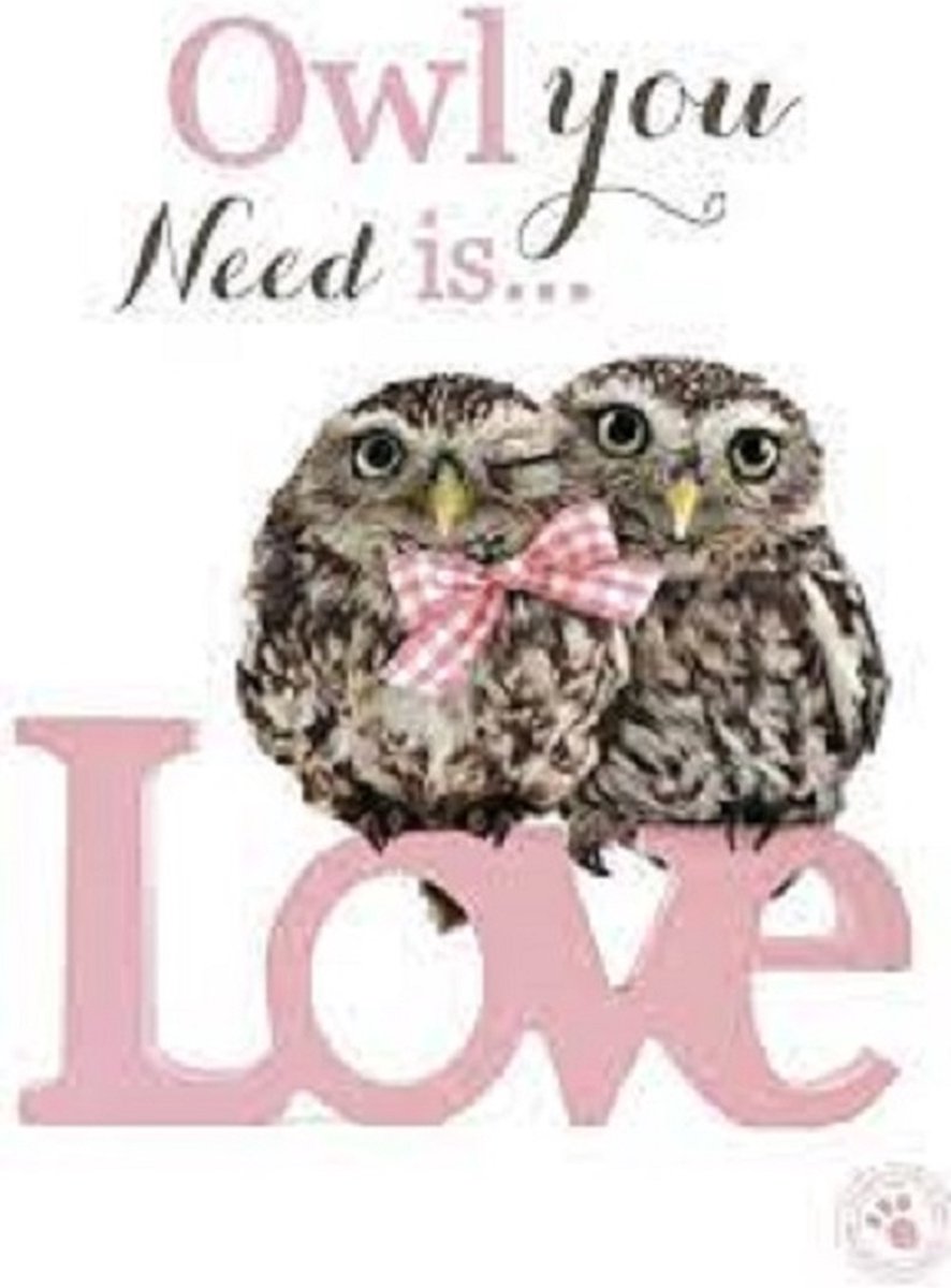 Studio Pets by Myrna - Wenskaart Owl You Need Is Love - 15 x 20 cm - Dubbele Kaart - Inclusief Envelop