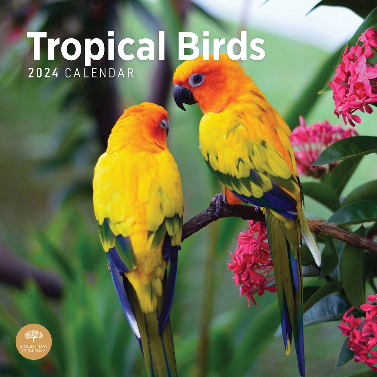 Tropische Vogels Kalender 2024