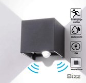 BIZZ Light ® LED-wandlamp met bewegingsmelder, voor binnen en buiten