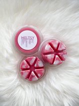 Meltsy Sakura Season Snap Pot Wax Melts