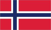 Vlag Noorwegen 30x45 cm.