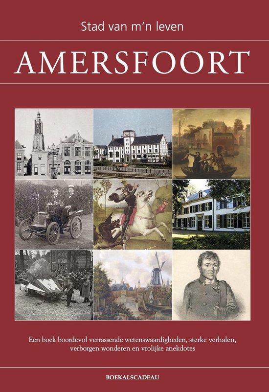 Boek cover Amersfoort - Stad van mn leven  - geschiedenis, cadeau Amersfoorter van Ruud Spruit