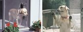Hb - Petscreen - huisdierengaas - 180cm x 100cm - grijs